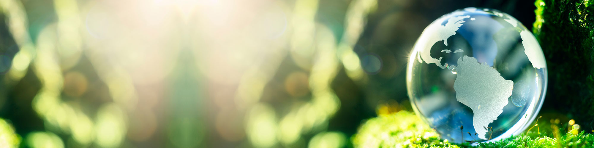 Sustainability in Business: From CSR to Core Strategy